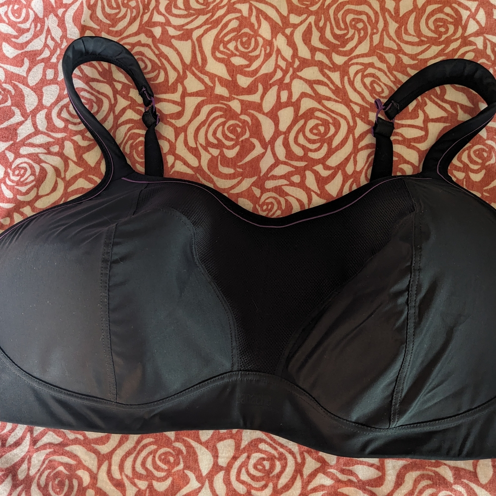 Black Women's Intimate Bra